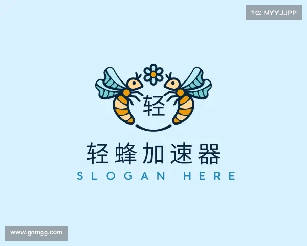 知道轻蜂加速器